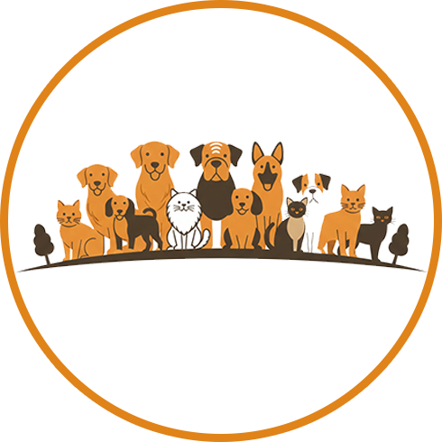 Breed Championship Show